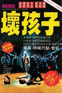 坏小子 poster