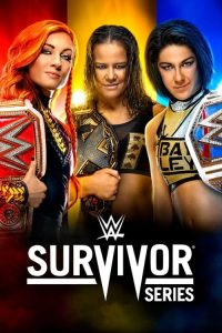 WWE 强者生存 2019 poster