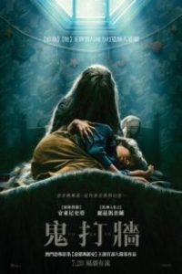 蛛网男孩 poster