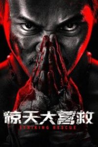 惊天大营救 poster