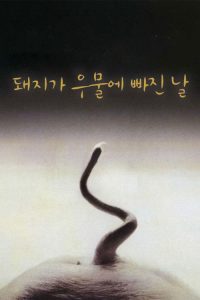 猪堕井的那天 poster