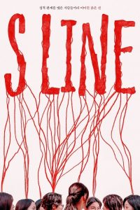 S线 poster