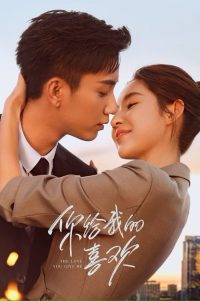 你给我的喜欢 poster