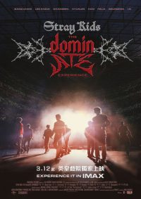Stray Kids：主宰一切的体验 poster