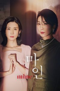我的上流世界 poster