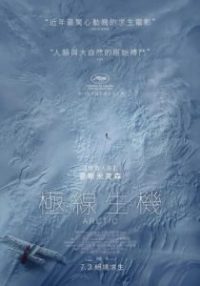 北极 poster