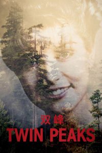 双峰 poster