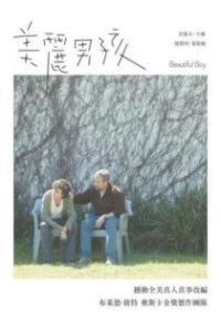 漂亮男孩 poster