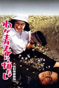 我对青春无悔 poster
