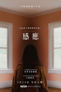 感应 poster