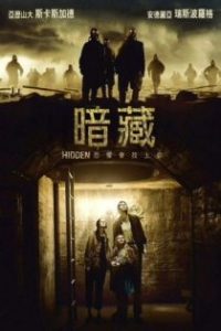 躲藏 poster