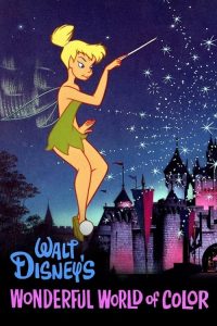 The Wonderful World of Disney poster