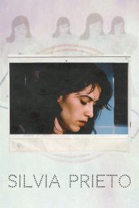 西尔维娅 poster