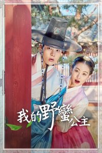 我的野蛮女友 poster