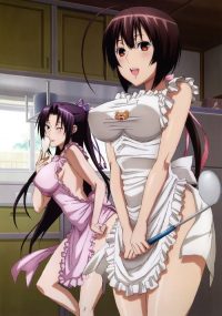 鹡鸰女神 poster