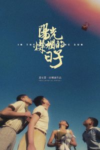 阳光灿烂的日子 poster