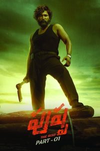 普什帕：崛起-第1部 poster