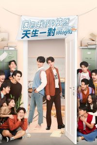 假偶天成 特别篇 poster