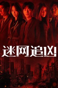 迷网追凶 poster