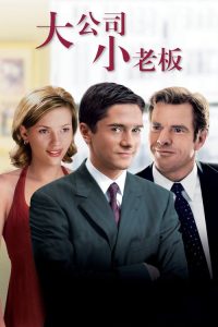 大公司小老板 poster