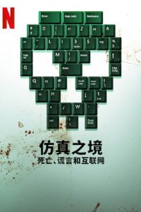 仿真之境：死亡、谎言和互联网 poster