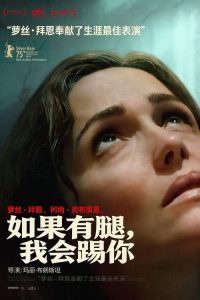 如果有腿，我会踢你 poster