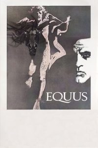 恋马狂 poster