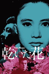 干花 poster