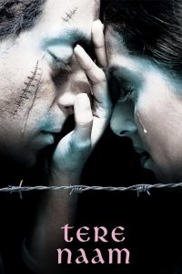 擦身而过 poster