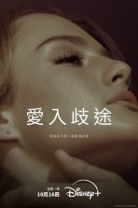 爱入歧途 poster