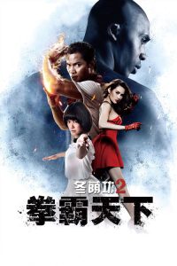 冬荫功2：拳霸天下 poster