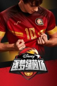 逐梦绿茵场 poster