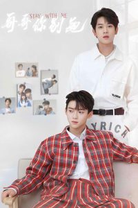 哥哥你别跑 poster
