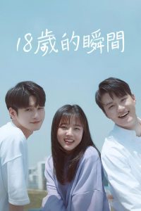 十八岁的瞬间 poster