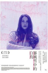 暴风雪中的白鸟 poster