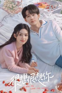 很想很想你 poster