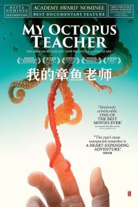 我的章鱼老师 poster