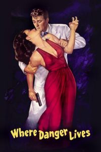 险情 poster
