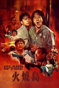 火烧岛 poster