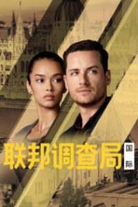 联邦调查局：国际 poster