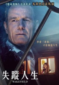 脆弱地带 poster