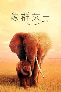 大象女王 poster