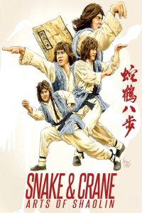 蛇鹤八步 poster