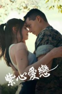 紫心之恋 poster