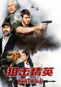 狙击精英：巅峰对决 poster