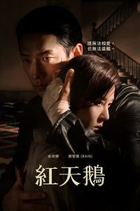 红天鹅 poster