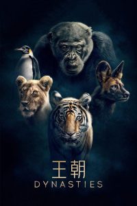 王朝 poster