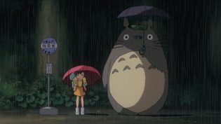龙猫 photo