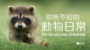 动物的秘密生活 photo