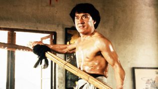 醉拳2 photo
